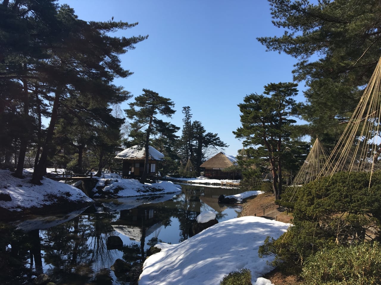 雪　御薬園