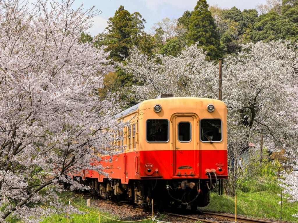 春の鉄道