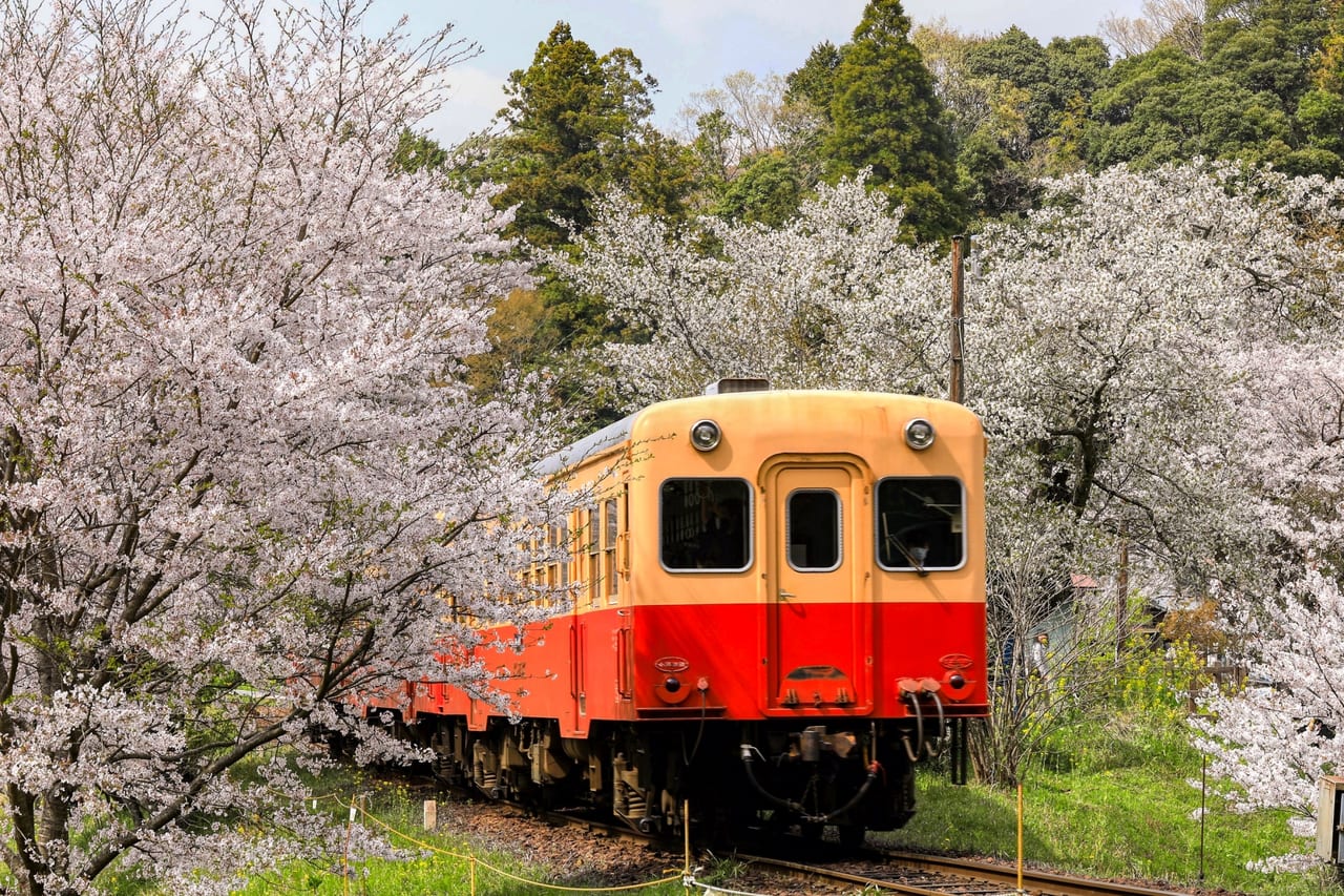 春の鉄道