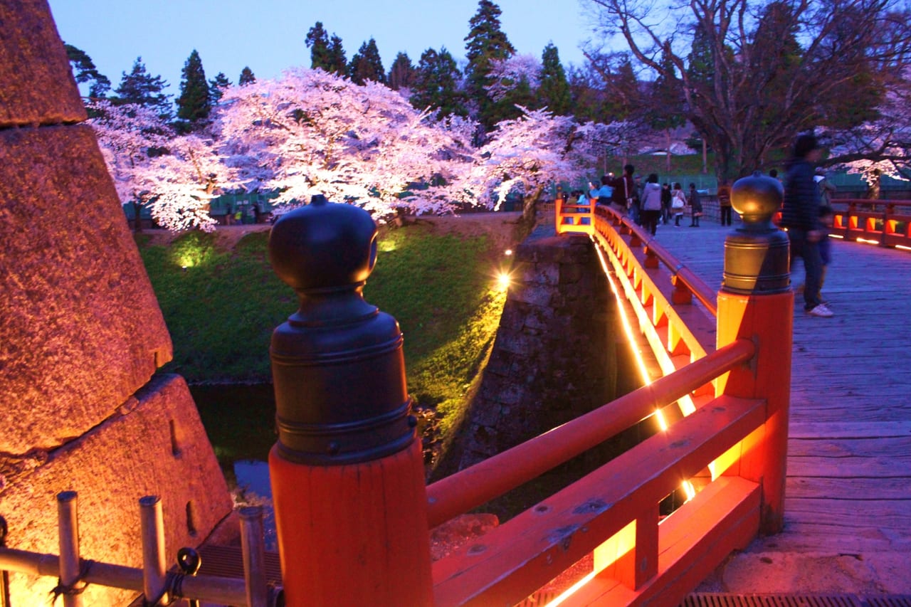 鶴ヶ城　桜　お堀