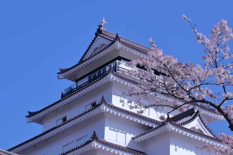 桜　鶴ヶ城