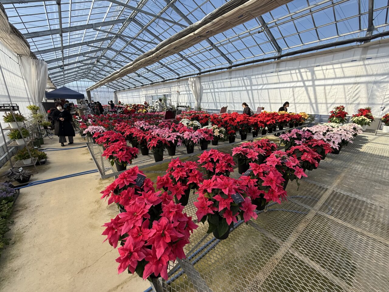 2025年ニヘイ屋内