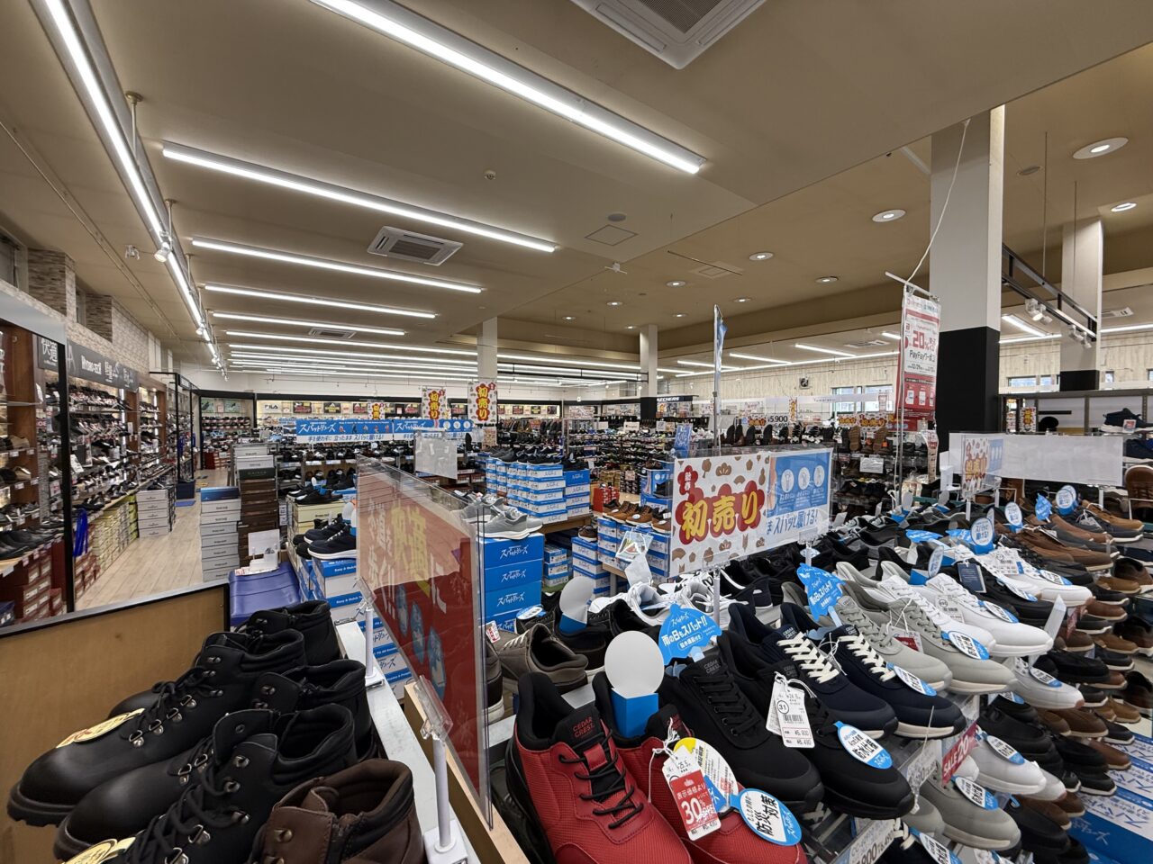 2026年シュープラザ6