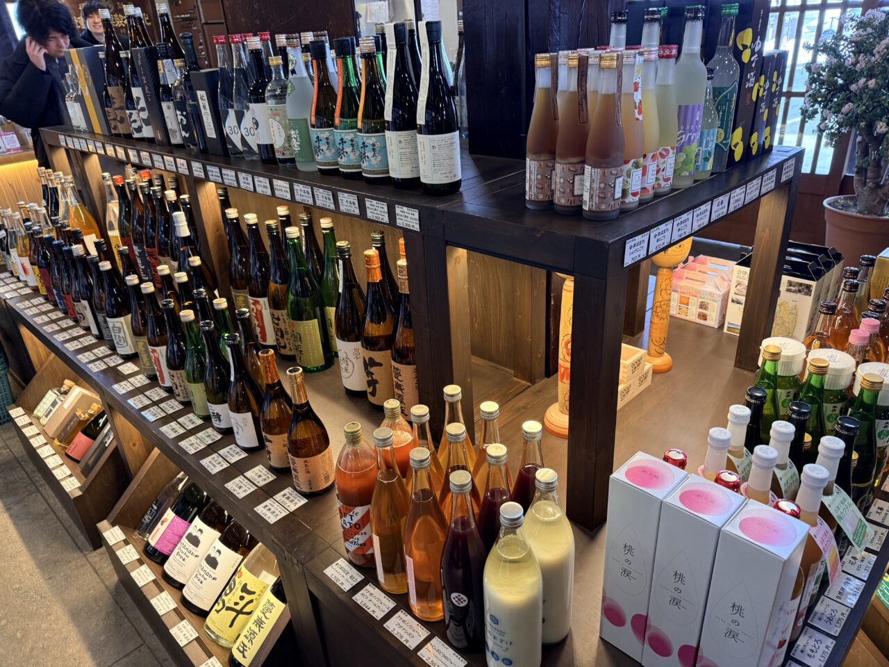 2026年渡辺宗太5