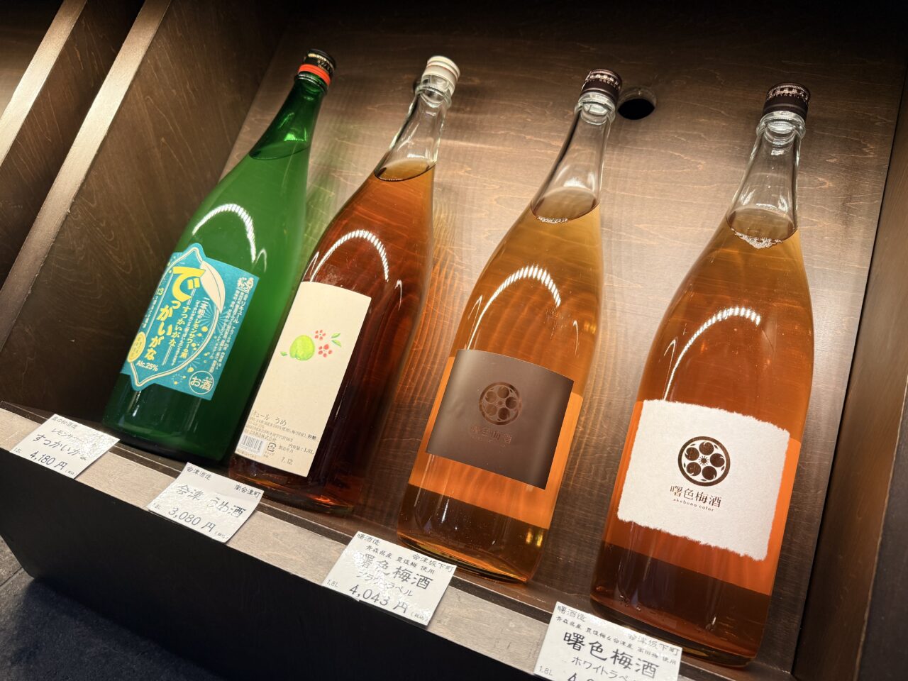 2026年渡辺宗太9