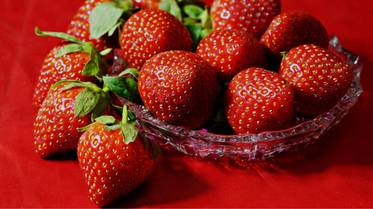 2026年あいづ食の陣1