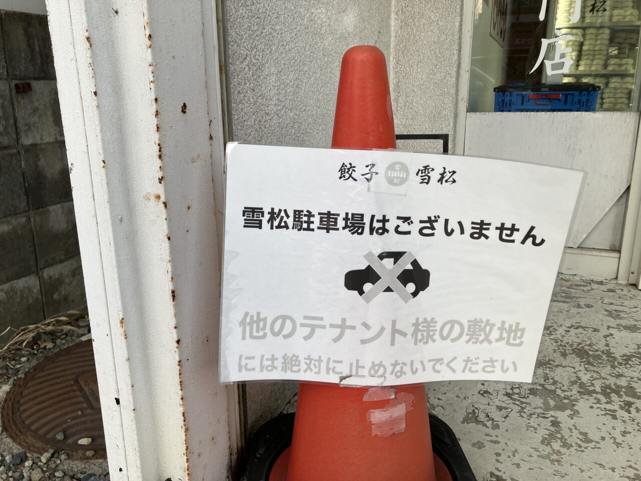 2026年餃子雪松5