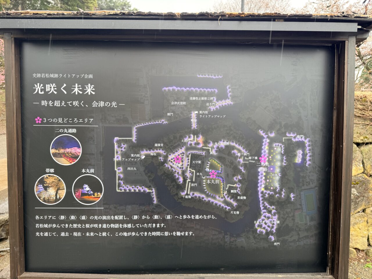 2026年鶴ヶ城桜2