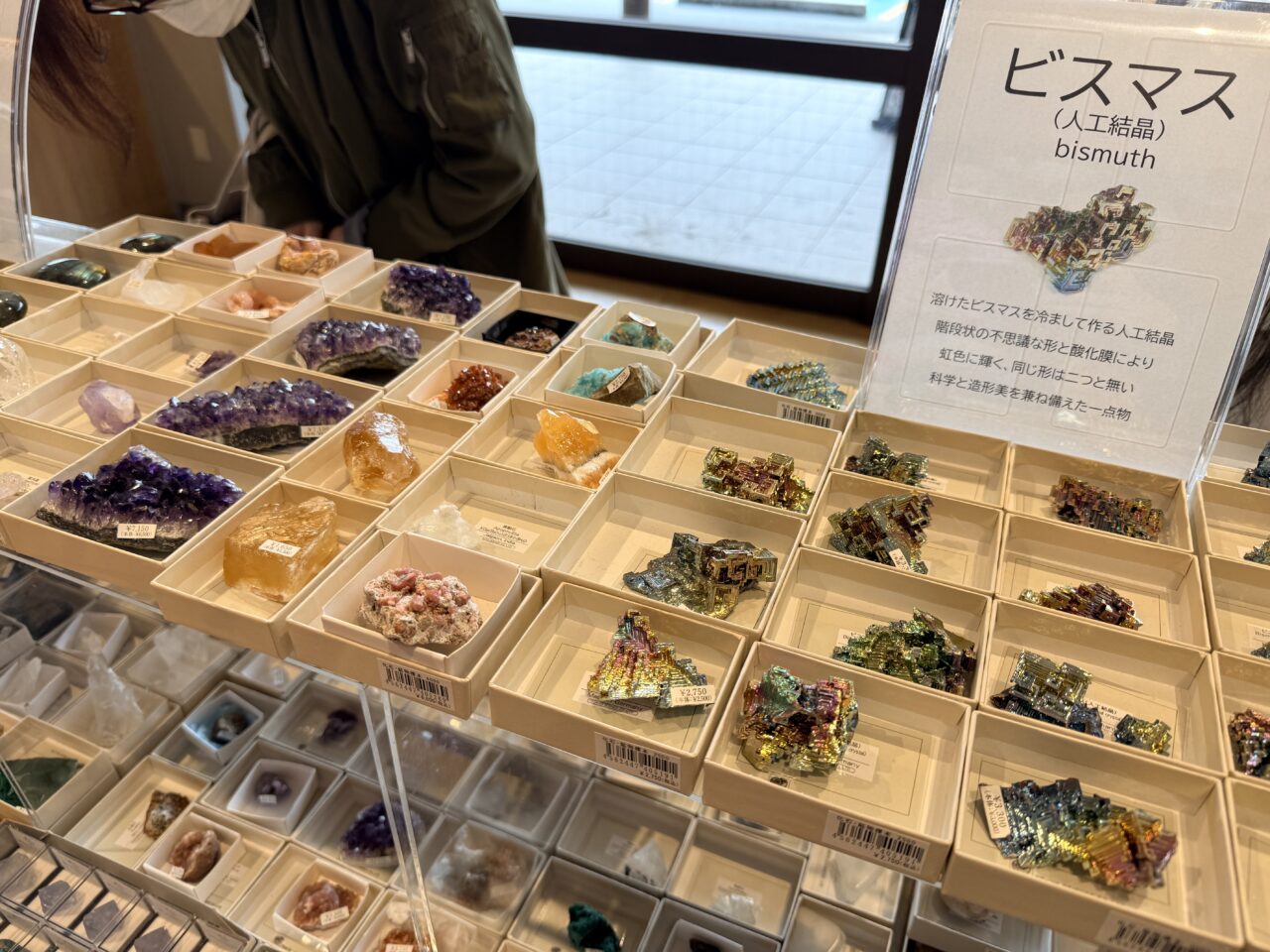 2026年TSUTAYA BOOKSTORE AIZU店5