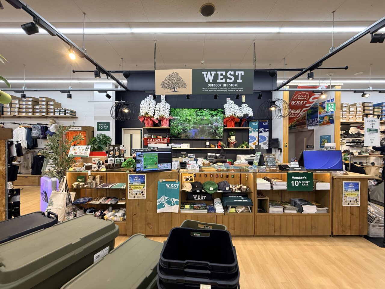 2026年west7