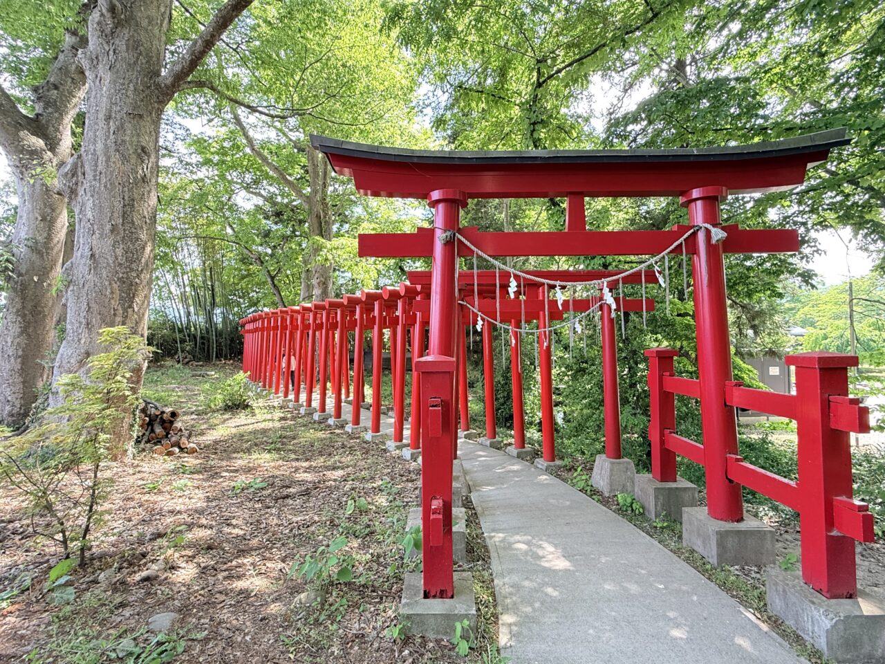 2026年伊佐須美神社2