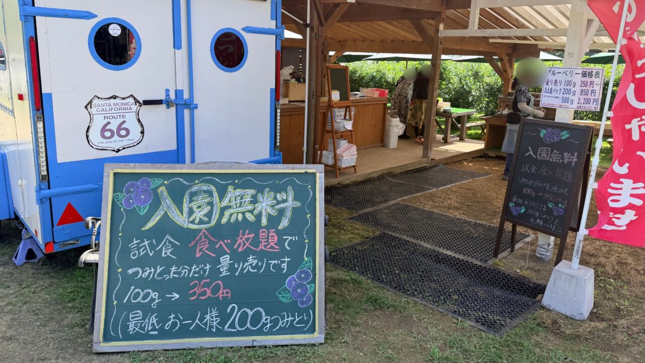 2026年ブルーベリー園6