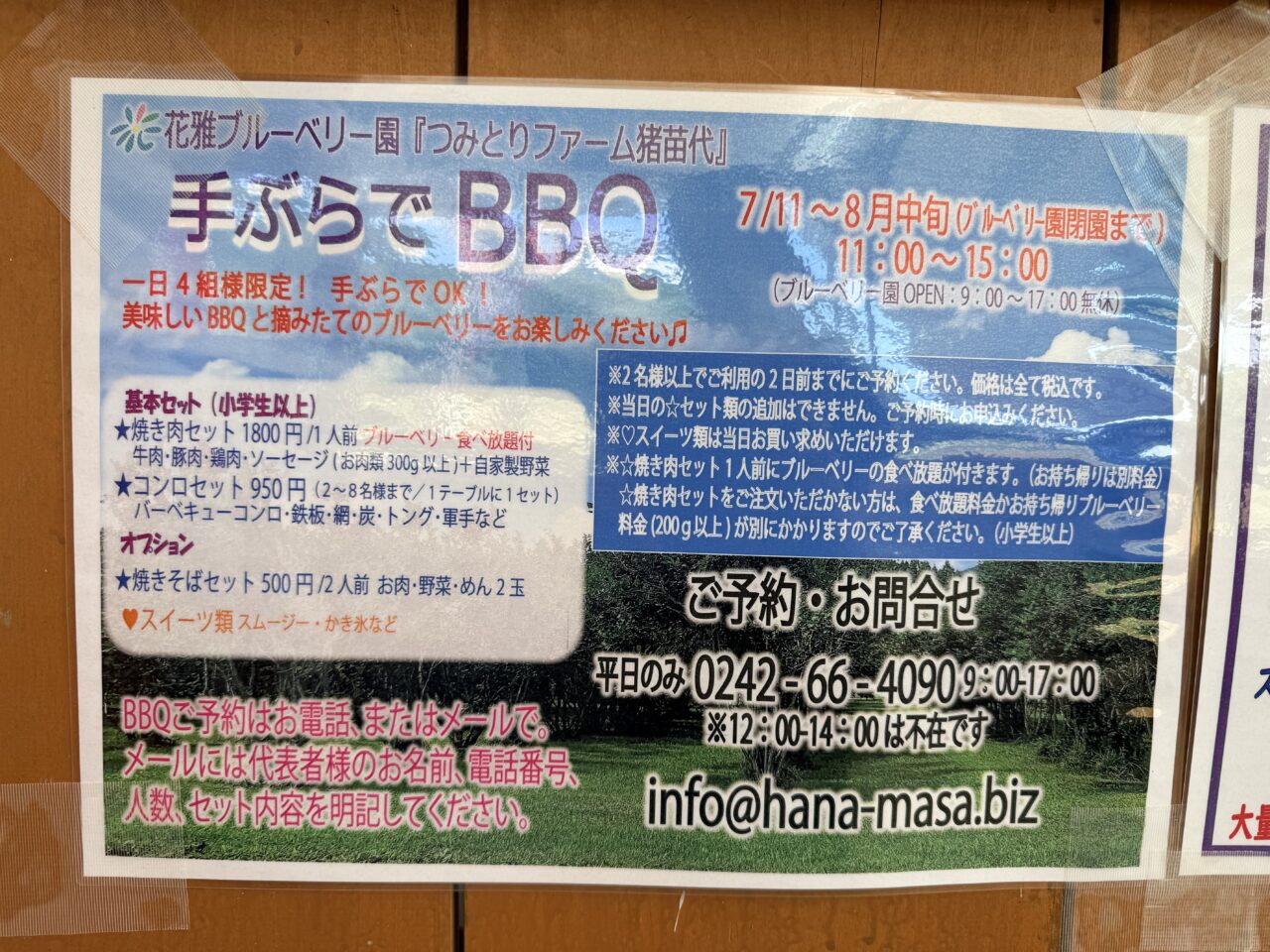 2026年ブルーベリー園9