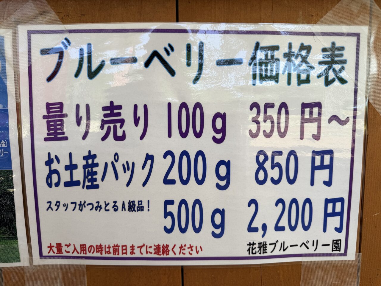 2026年ブルーベリー園10