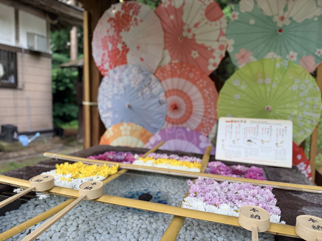 2026年土津神社夏詣2