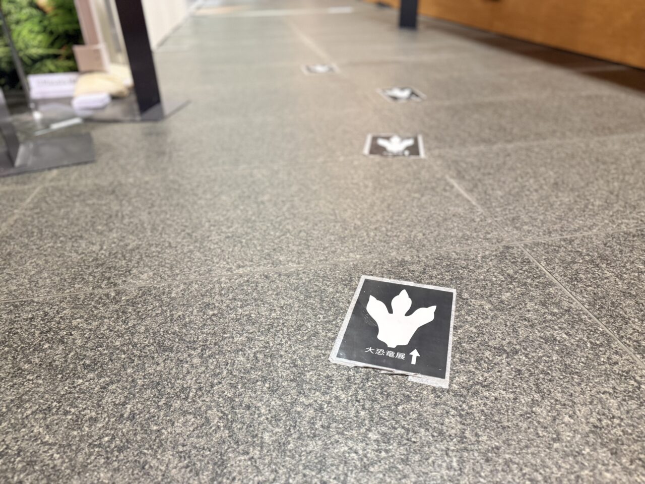 2026大恐竜展6