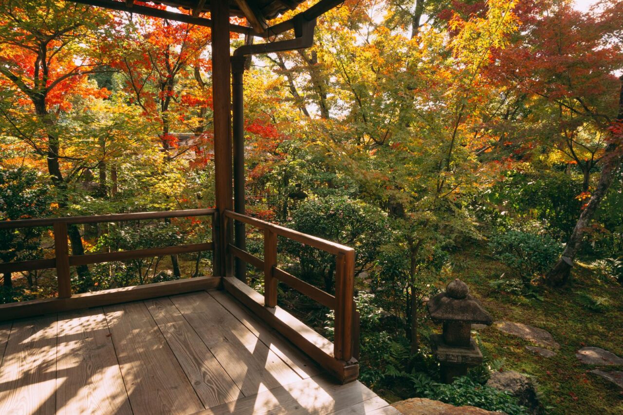2026年紅葉のつどい3