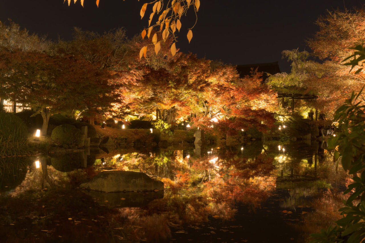 夜の庭園でライトアップされた紅葉が池の水面に映り込む様子