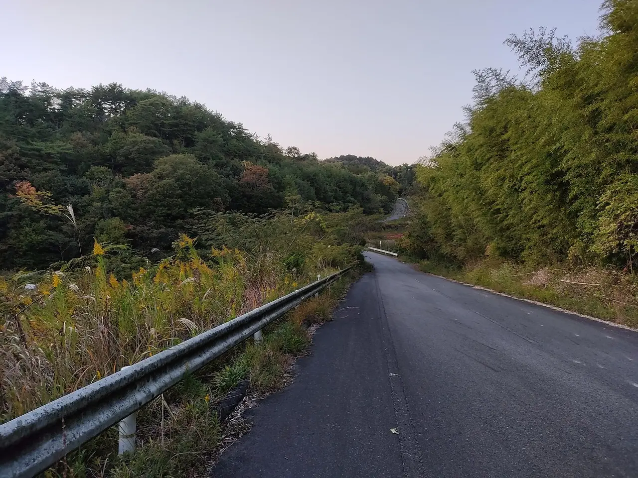 2026年ふれあい号2