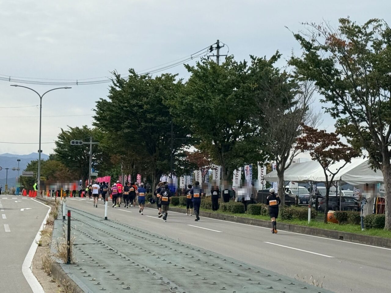 沿道の応援を受けながら並木道のコースを走るランナーたちの後ろ姿